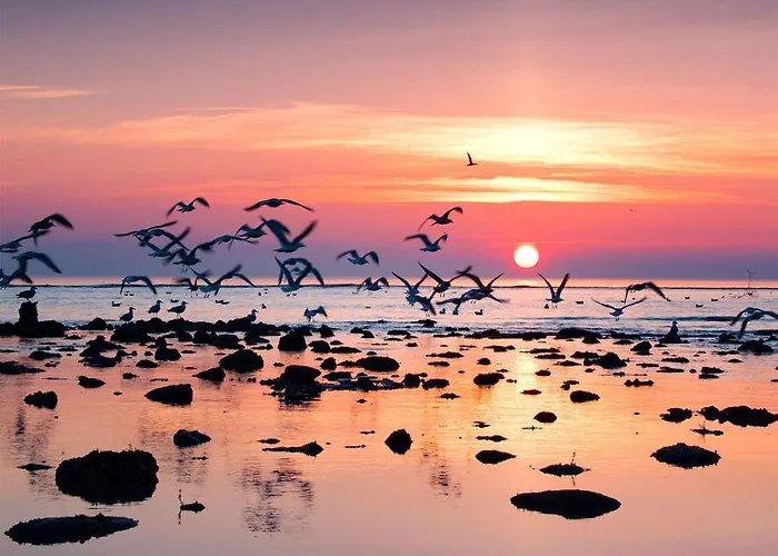 Apartment Dauphine *